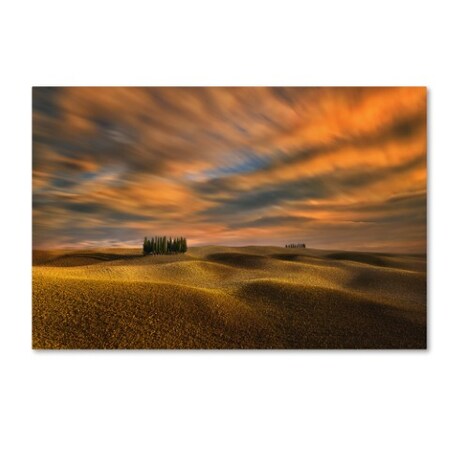 Trademark Fine Art Krzysztof Browko 'Cypresses' Canvas Art, 22x32 1X01069-C2232GG